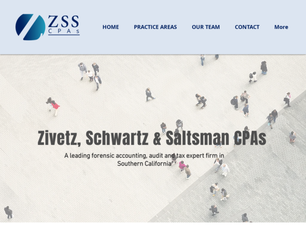 Zivetz Schwartz & Saltsman, Cpas - Forensic Accountants