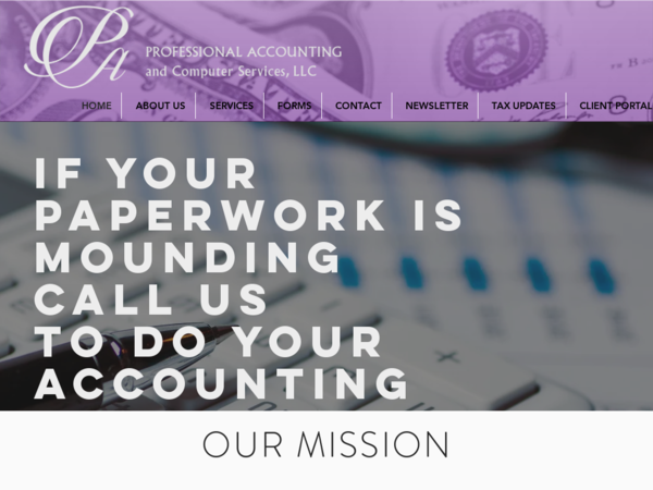 Professional Accounting and Computer Services