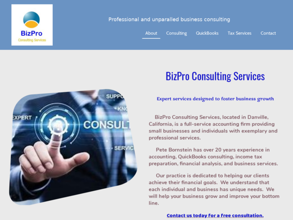 Bizpro Consulting & Tax Services