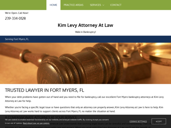 Kim Levy Attorney at Law
