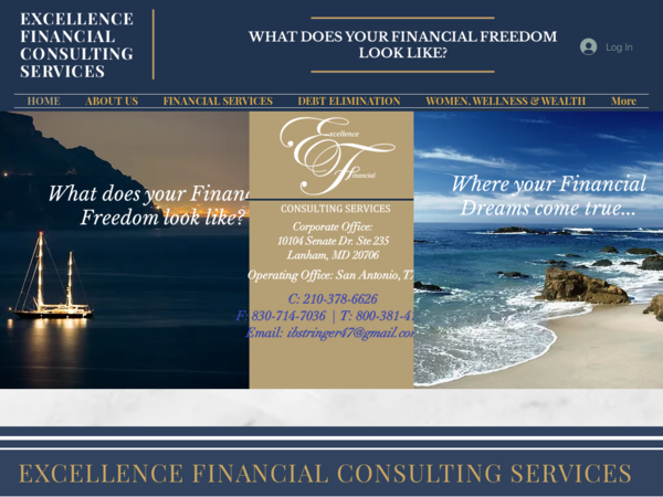EF Professional Consulting Services