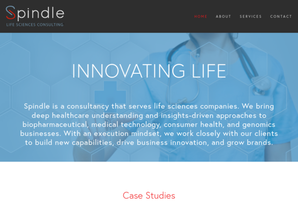 Spindle Life Sciences Consulting