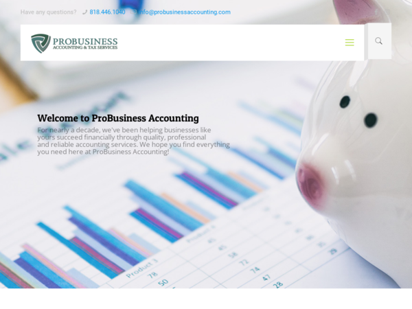 Pro Business Accounting & Tax Services