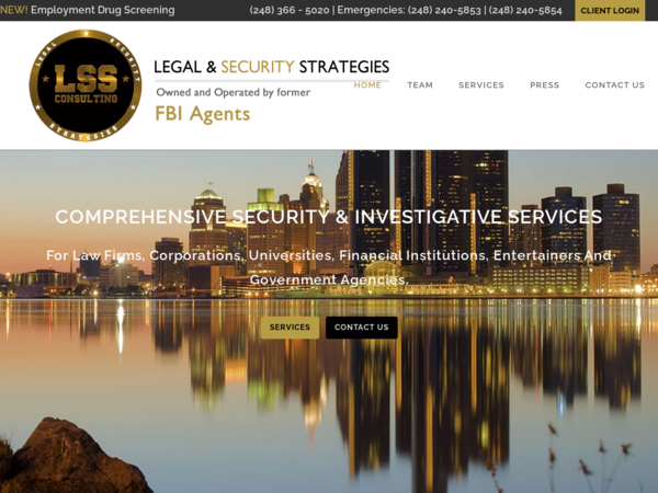 LSS Consulting
