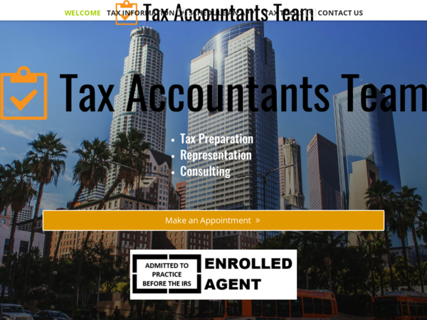 Tax Accountants Team