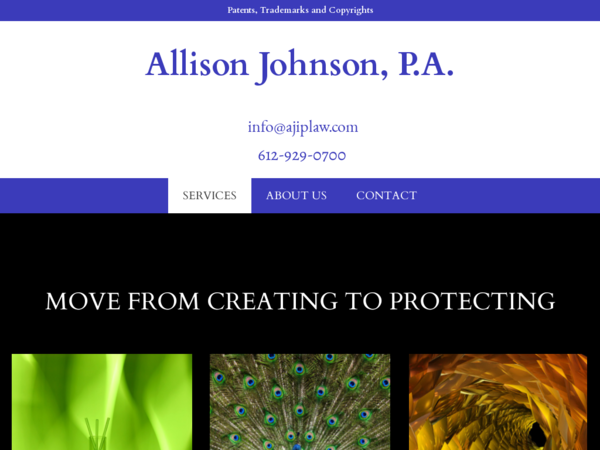 Allison Johnson