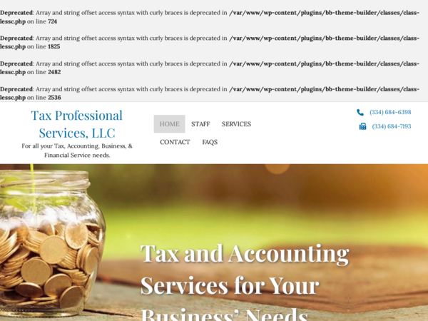 Tax Professional Services