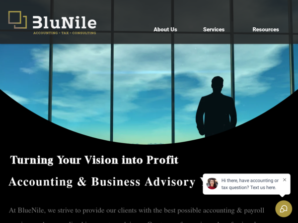 Bluenile Accounting Tax & Consulting