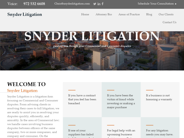 Snyder Litigation