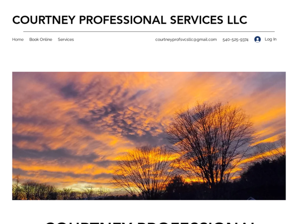 Courtney Professional Services