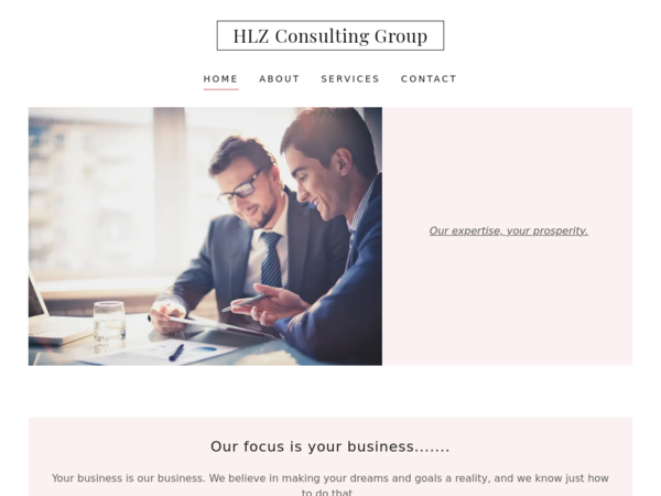 HLZ Consulting Group