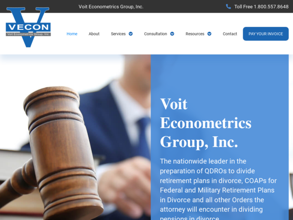 Voit Econometrics Group