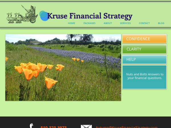 Kruse Financial Strategy