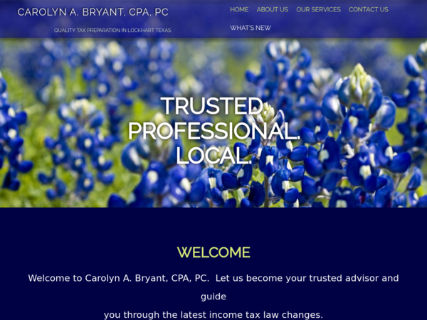 Carolyn A. Bryant CPA