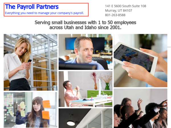 The Payroll Partners
