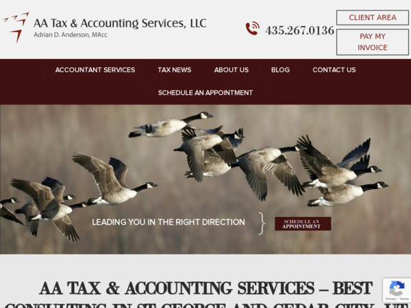 AA Tax & Accounting Services