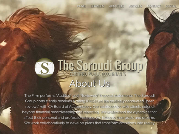 The Soroudi Group, Certified Public Accountants