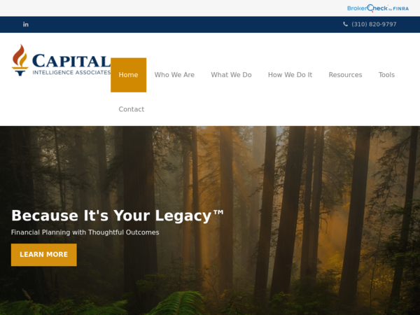 Capital Intelligence Associates