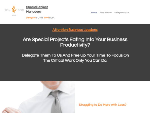 Ron & Dom Services, Consulting and Coaching
