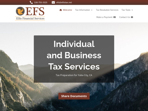 Ellis Financial Services