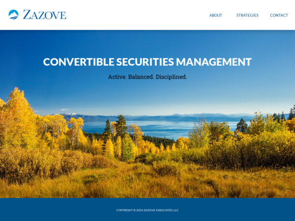 Zazove Associates