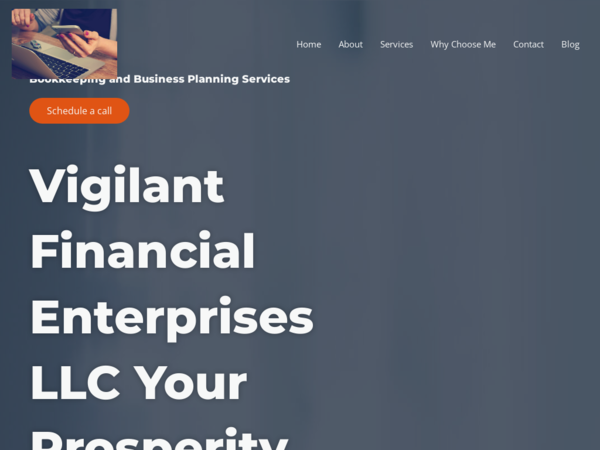 Vigilant Financial Enterprises