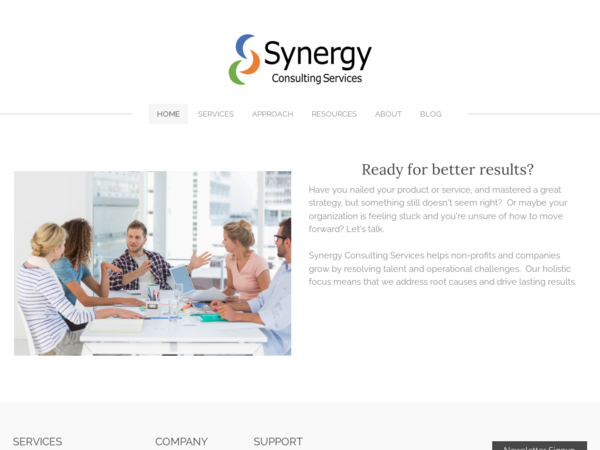 Synergy Consulting Services