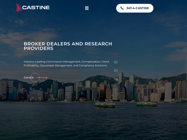 Castine Consulting