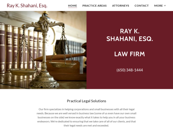 Ray K Shahani Esq