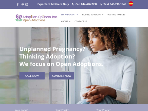 Adoption Options