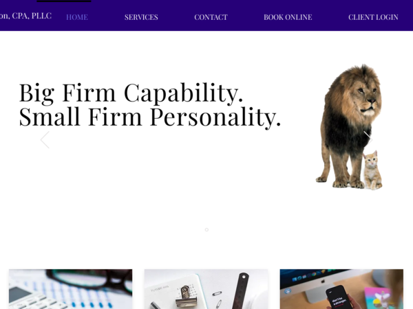 Tammy Dalton, CPA