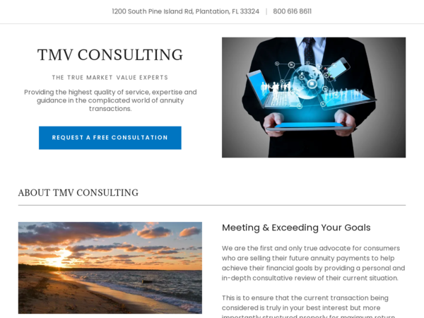 TMV Consulting