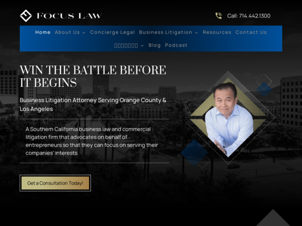 Focus Law LA - Business Litigation