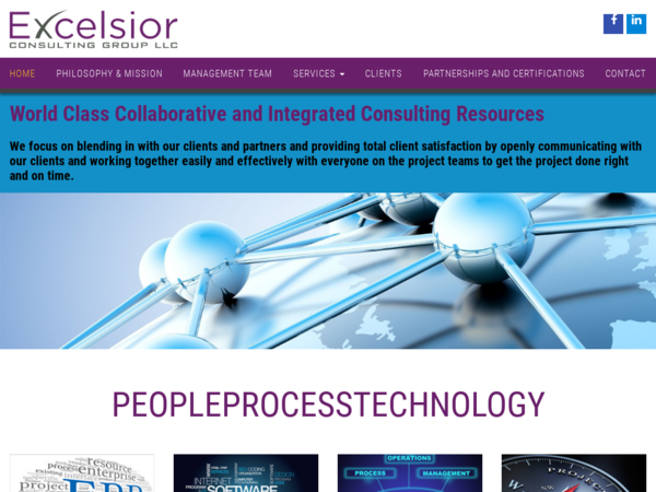 Excelsior Consulting Group