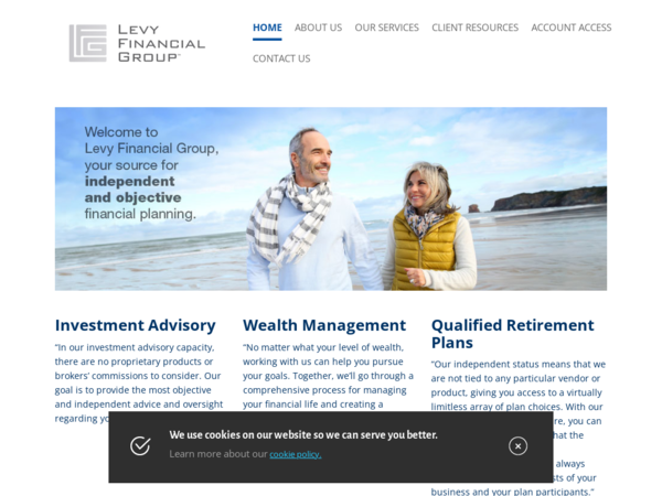 Levy Financial Group