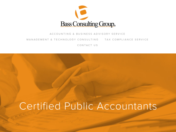 Bass Consulting Group